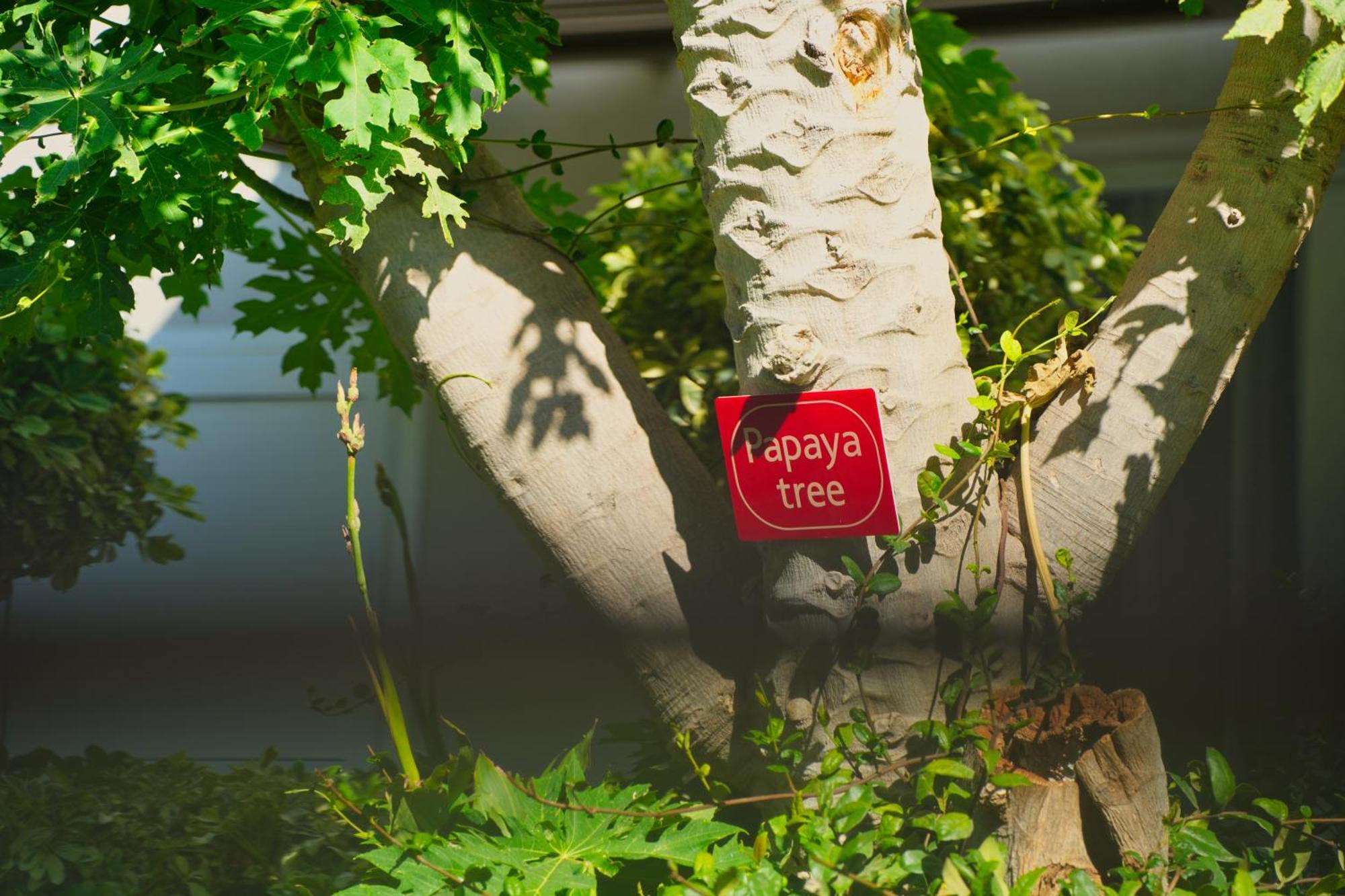 Relax Hotel Palaiochora Zewnętrze zdjęcie